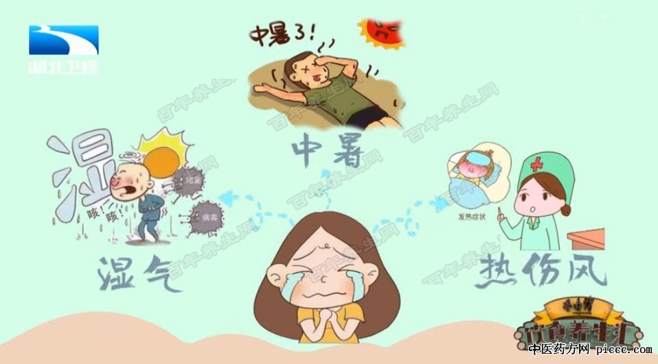 告别湿气中暑热伤风