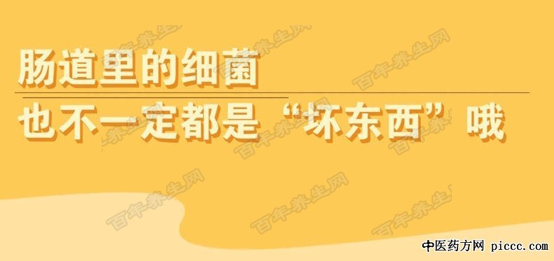 菌群失衡会有哪些健康问题