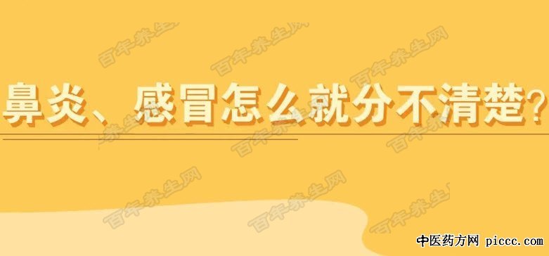 感冒和过敏性鼻炎的区别