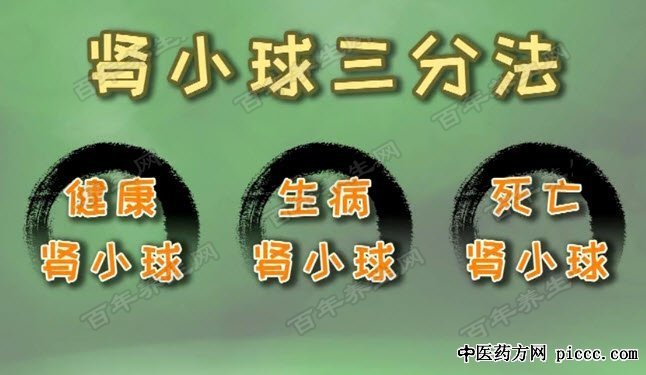 中药救肾有良方