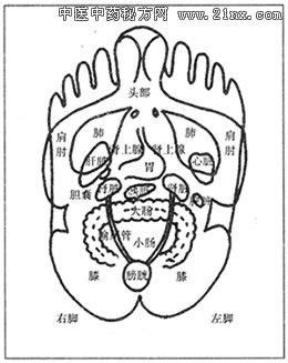 足部反射区分布图