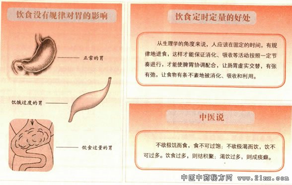 饮食定时定量的好处