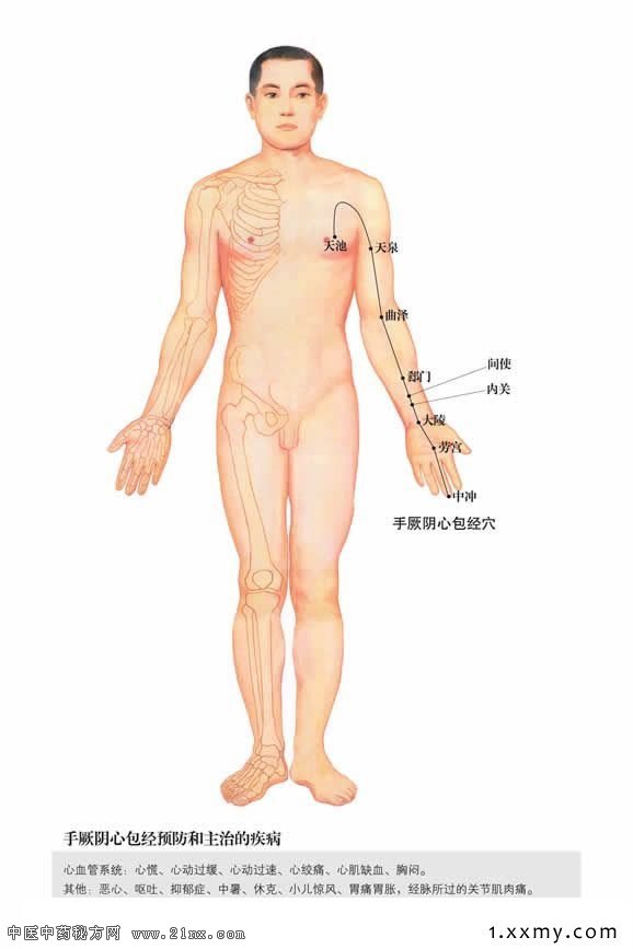 �������İ���