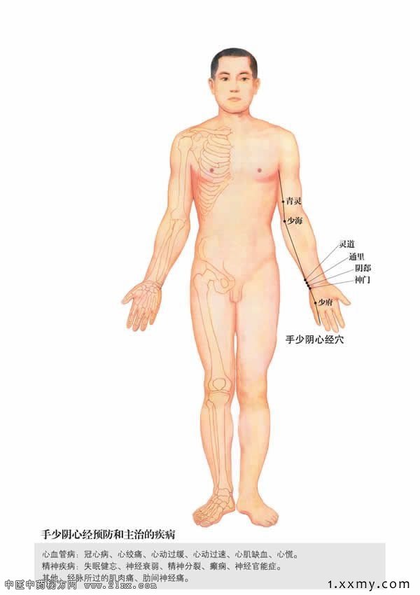 �������ľ�