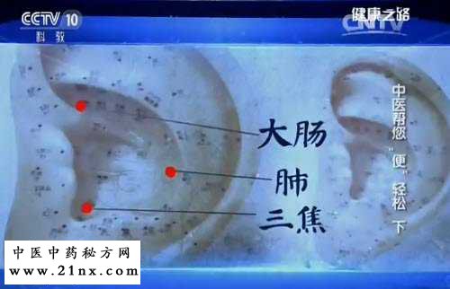 埋耳豆缓解便秘