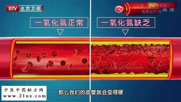 一氧化氮对血液的影响