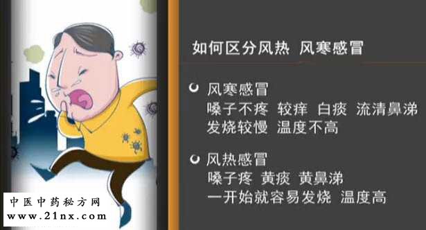 风寒与风热感冒的区别