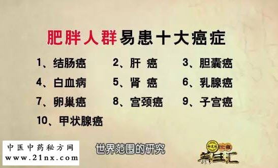 肥胖人群是癌症易患人群