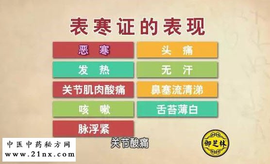 表寒证的表现
