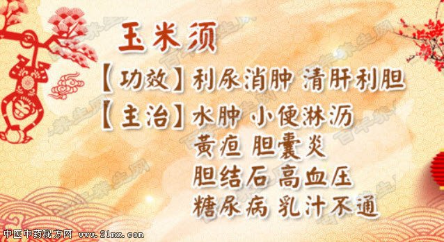 玉米须的养生功效