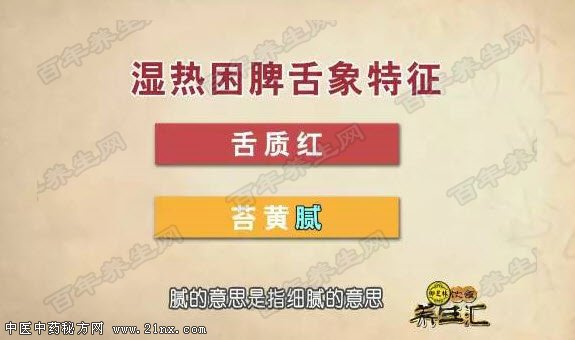 湿热困脾的舌象