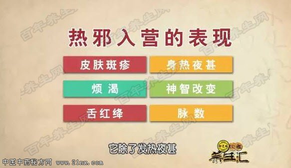 热邪入营证的表现