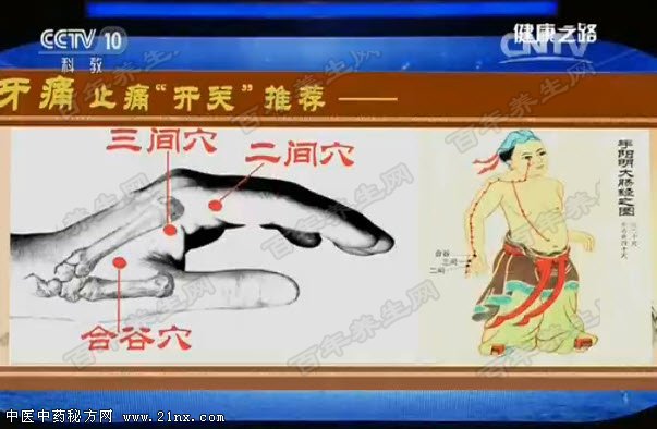 缓解牙痛的穴位