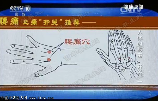 缓解腰痛的穴位