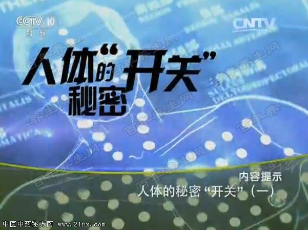 人体的秘密开关