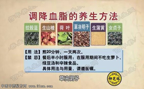 调降血脂中药方