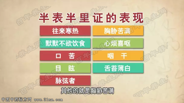 半表半里证的表现