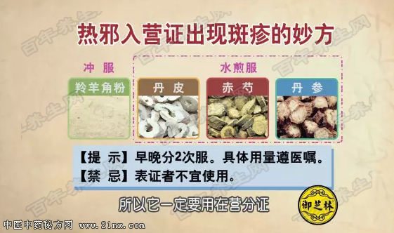 热邪入营证的治疗