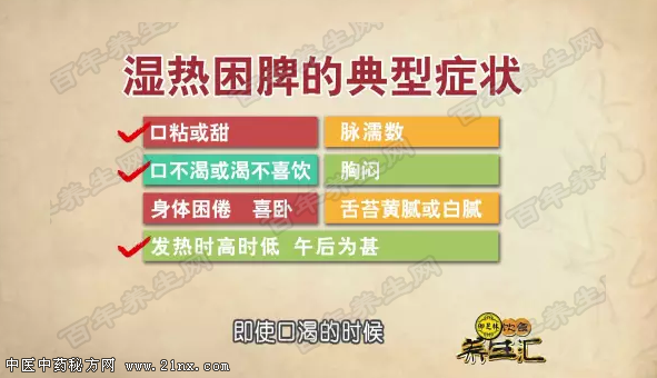 湿热困脾症状