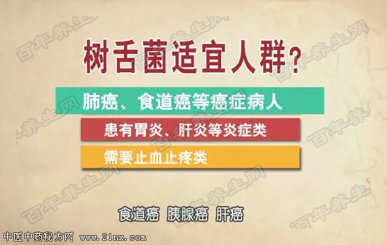 树舌的适用人群