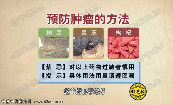 树舌灵芝枸杞汤