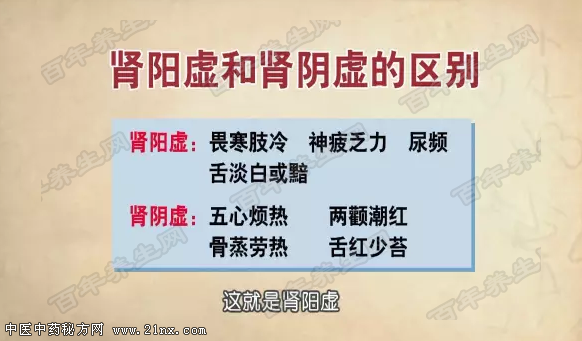 肾阳虚和肾阴虚的区别