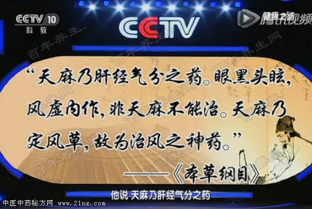 定风草-天麻