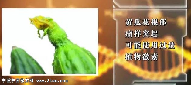 顶花带刺的黄瓜