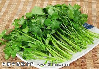 芫荽