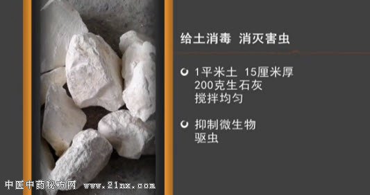 如何给土消毒消灭害虫