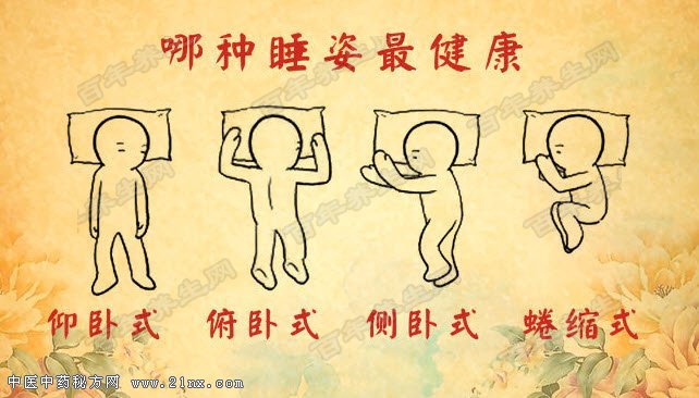 哪种睡姿最有助于健康