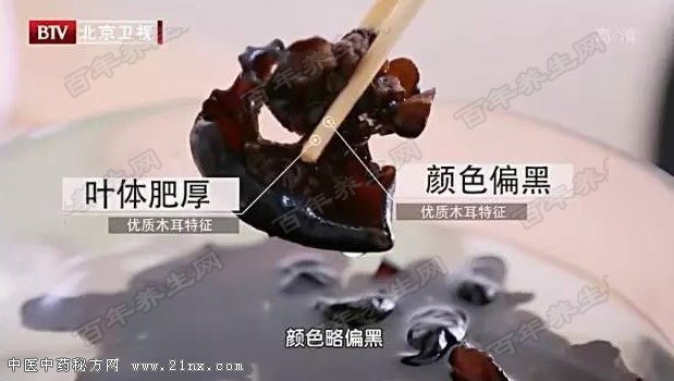 如何选择优质的黑木耳