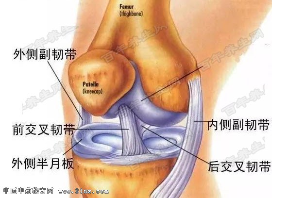 膝关节滑膜炎的诱发因素