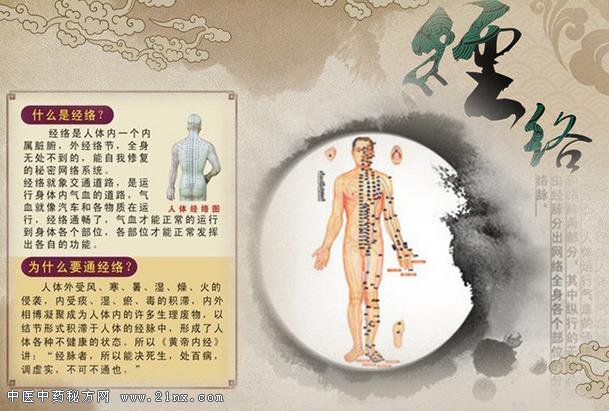 经络养生