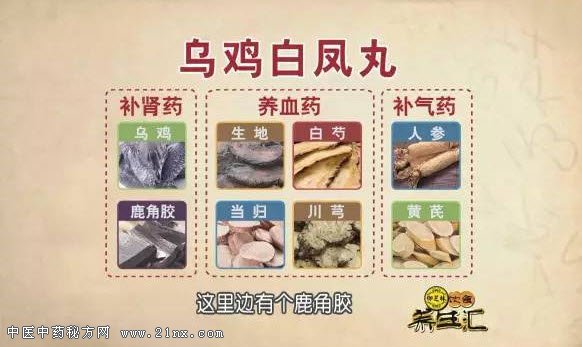 乌鸡白凤丸的配方