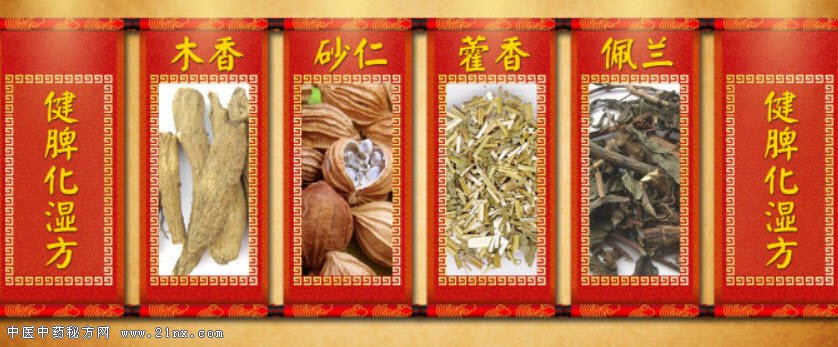 健脾化湿方