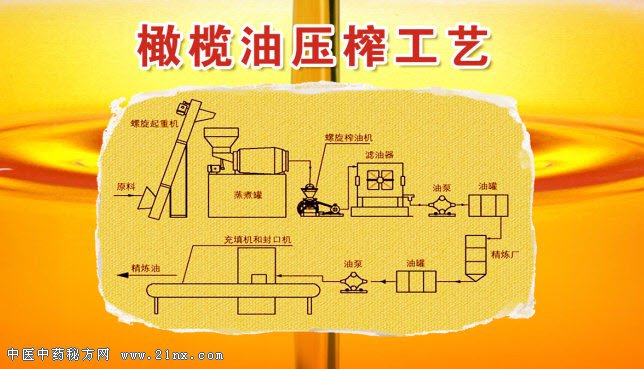橄榄油的压榨工艺