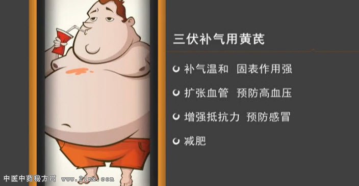 三伏补气用黄芪