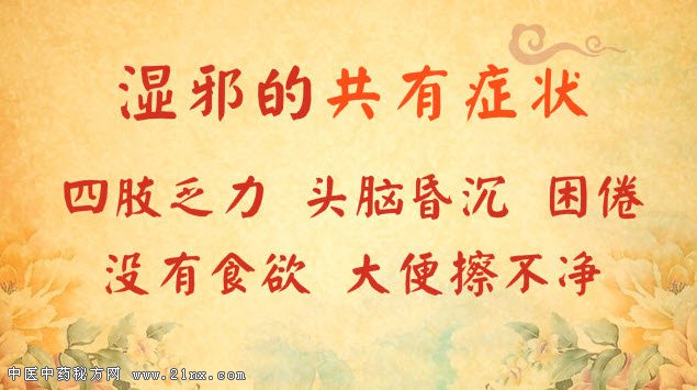 湿邪的症状