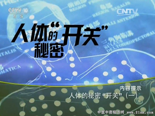 人体的秘密开关