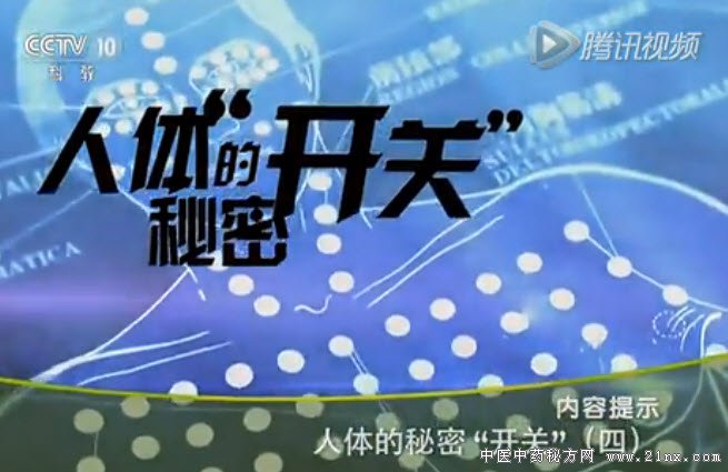 人体的秘密开关