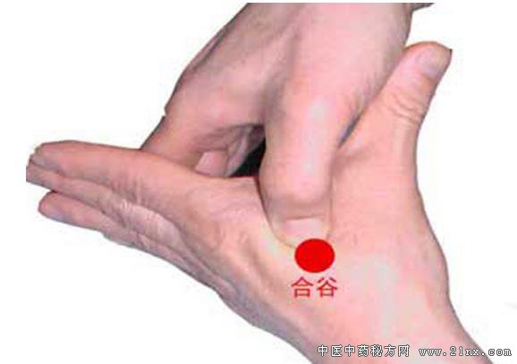 合谷穴