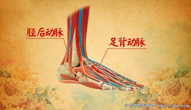 如何自测体内气血的运行情况