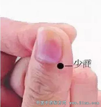 少商穴