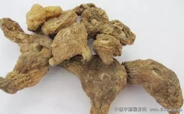 黄精自古就是养生家眼中的延年益寿之品 有久服成仙之说