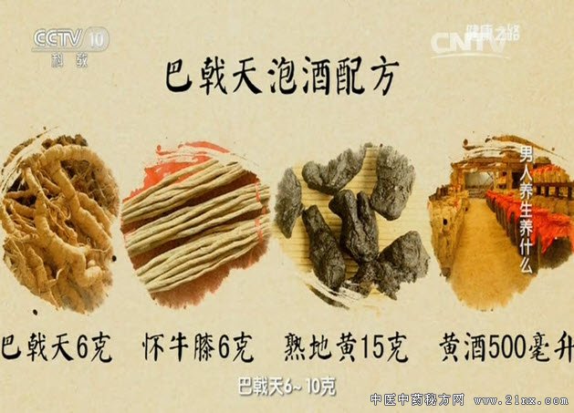 巴戟天泡酒配方