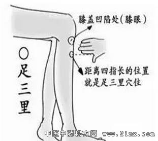 足三里