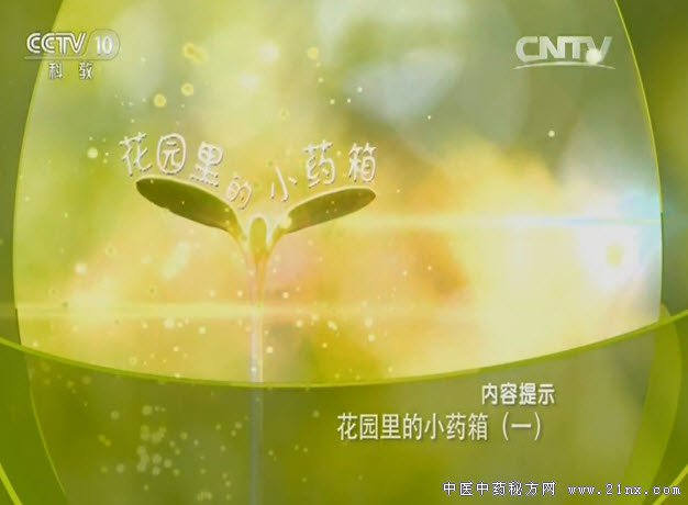 花园里的小药箱