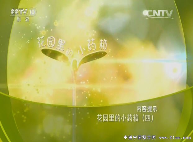 花园里的小药箱