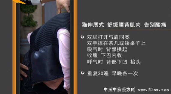 伸展腰背